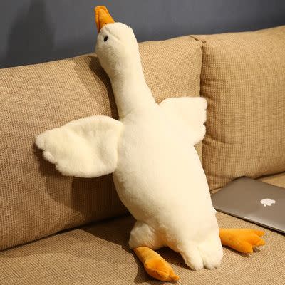 New Arrival (All Products)